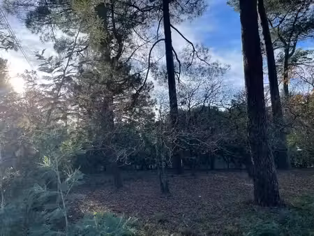 vente terrain 695 m² à lacanau (33680)  280 000 €