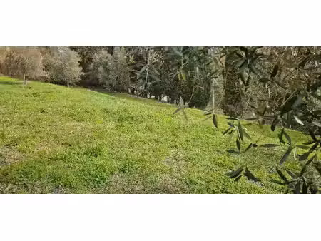 vente terrain 1065 m² à valbonne (06560)  345 000 €