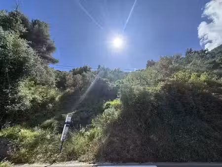 vente terrain 7798 m² à sainte-agnes (06500)  510 000 €