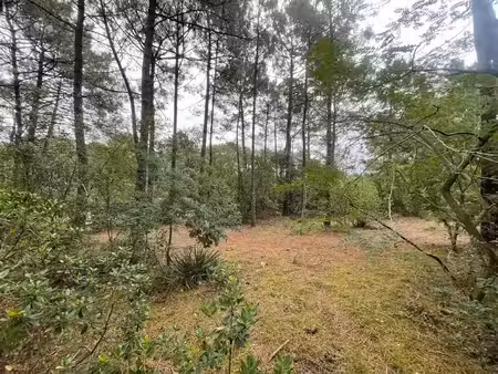 vente terrain 1200 m² à lacanau (33680)  600 000 €