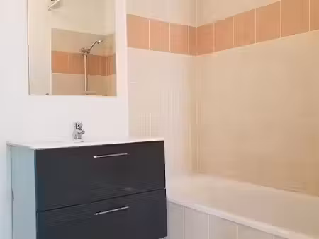 location appartement 3 pièces 55 m² à villeurbanne (69100)  895 €