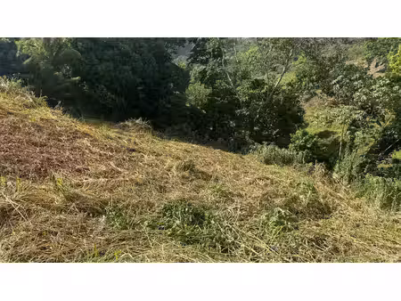 terrain constructible