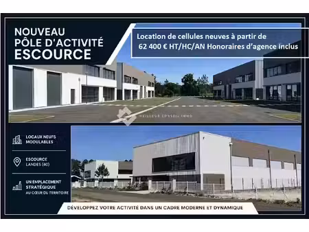 location locaux professionnels 0 pièces 500 m² à escource (40210)  4 333 €
