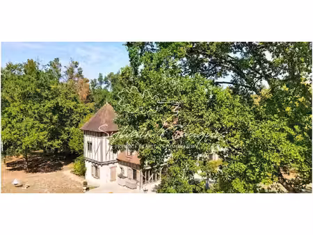 propriété avec piscine vannes-sur-cosson (45)