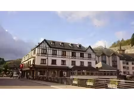 immeuble mixte commerce+ appartement la roche-en-ardenne