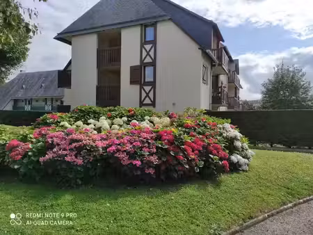 location meublée appartement 1 pièce 19 m² à deauville (14800)  550 €