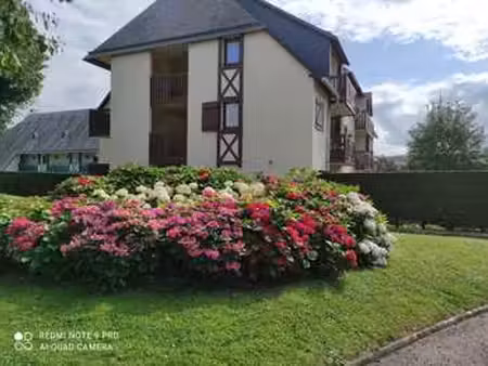 location appartement t1 meublé à deauville (14800) : à louer t1 meublé / 19m² deauville