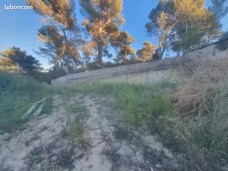 terrain 800m2