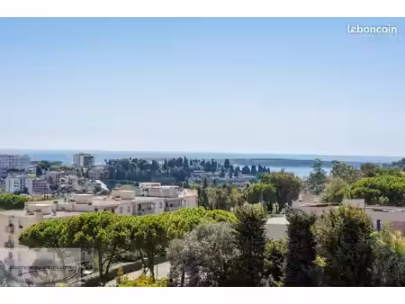 appartement en viager 4 pièces 111 m²