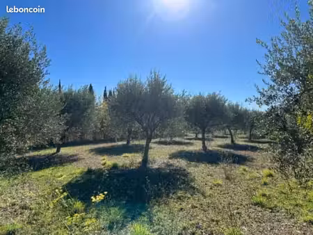 terrain 1 200 m² tavernes