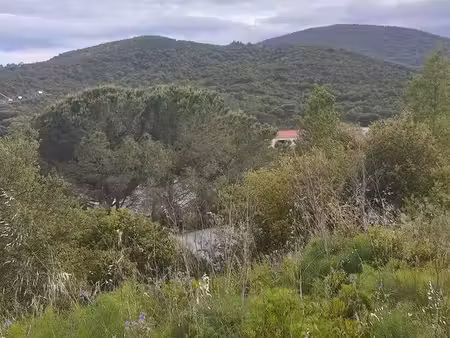 terrain sainte-maxime 1200m