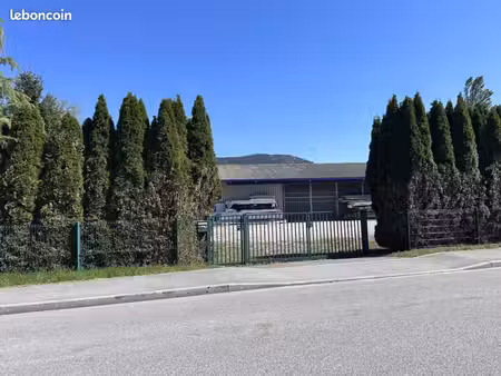 local commercial 562 m²