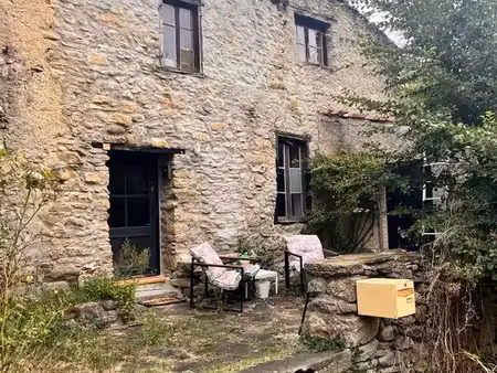 maison pierre 80m2 atypique jardin 500m2 ruisseau