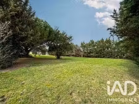 vente terrain à villalbe (11000) : à vendre / 1000m² villalbe
