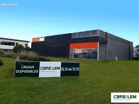 local d'activite 879 m² ifs