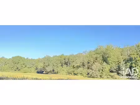 terrain 69661 m² moulins-sur-tardoire