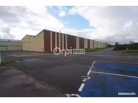 local d'activité 9 900 m²