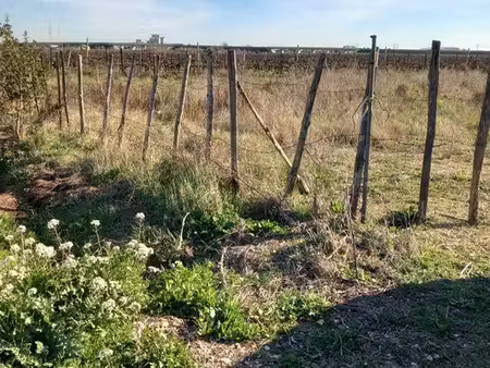 à vendre terrain agricole clôturé 4800 m2