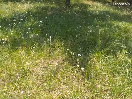 terrain 570 m² naujan et postiac
