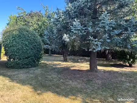 terrain constructible