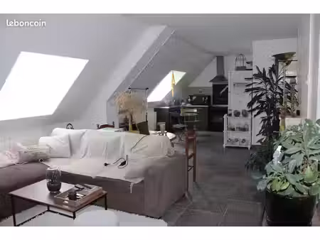t3 - 2 chambres - lumineux - 56 m² - vendu loué - spécial investisseur - vineuil