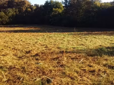 terrain puyoo 1ha4 2a10 ca