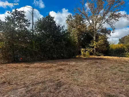 terrain constructible centre ville parentis