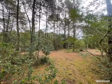 terrain 1 200 m² lacanau