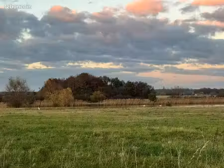 propriété à nesploy (45) — ~50 ha — particulier