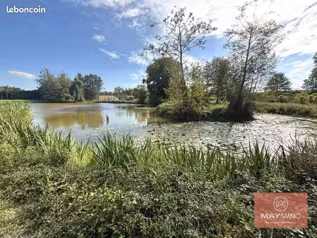 terrain 10000 m² château-gontier