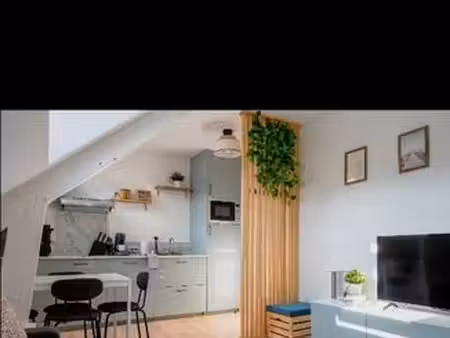 appartement 2 pièces spacieux
