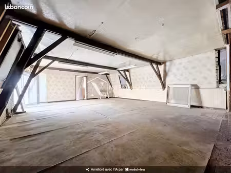 loft 4 pièces 100 m²