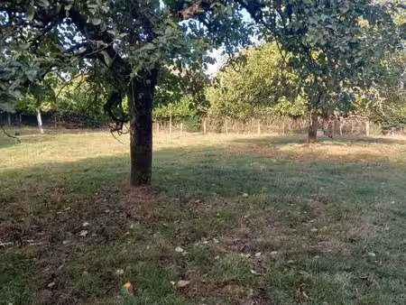 terrain à construire