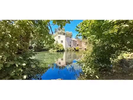 moulin de caractère en nue-propriété au bord de la sèvre13p 338 m2