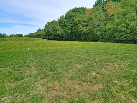 terrain a batir de 1 222 m² – calme  nature et proximité de pons 39000€