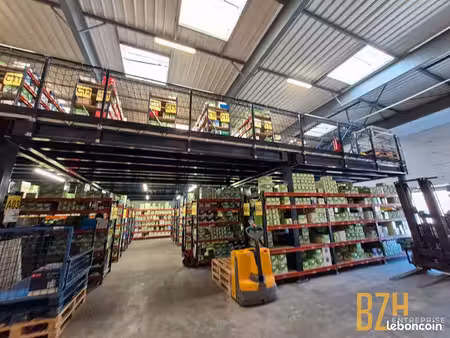 local 800 m² vannes