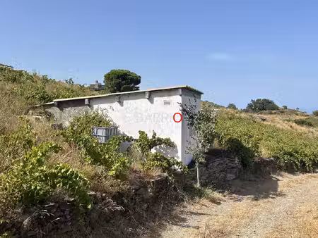 terrain avec casot