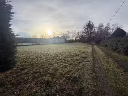 terrain