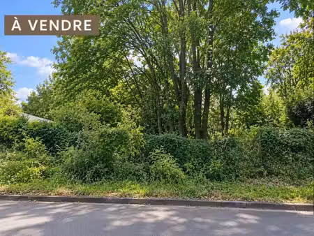 reims à proximité directe de l'esad (l'école supérieure d'art et de design de reims)terrai
