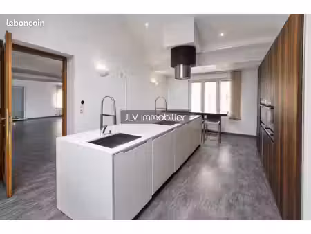 maison 8 pièces 250 m²