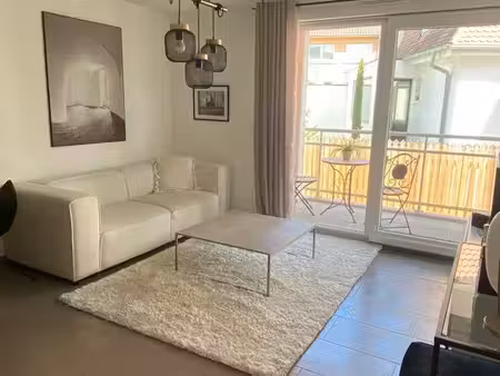 appartement meublé 2 pièces la robertsau