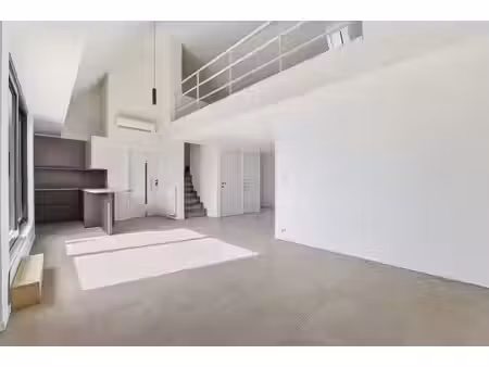 lichtrijk en uniek appartement met mezzanine en terras aa...