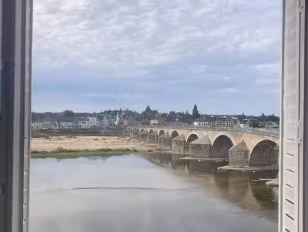 location appartement avec vue sur la loire