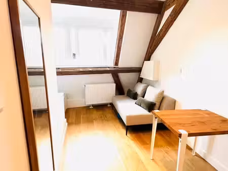 hypercentre  duplex  2 pièces  33 m2  haut de gamme  équipé