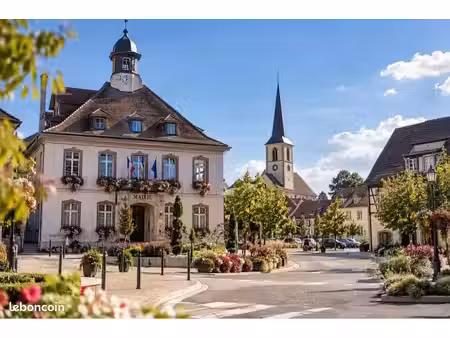 à louer – 2 appartements entièrement rénovés à neuf au cœur de blotzheim