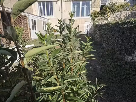 maison 7 pièces 365 m²