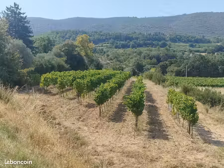terres agricoles