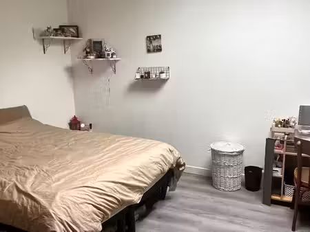 appartement 1 chambre 52 m2