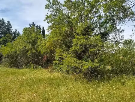 terrain à bâtir de 1495 m² à carpentras (84)