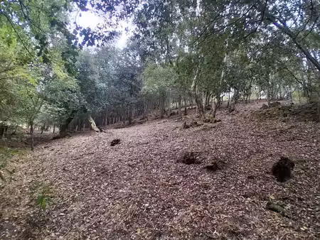 terrain à bâtir - alata / san benedetto